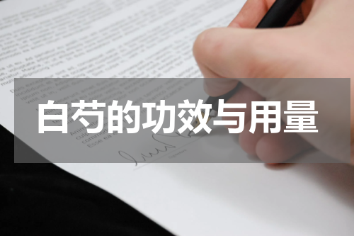 白芍的功效与用量