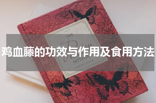 鸡血藤的功效与作用及食用方法