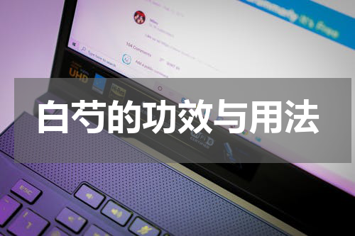 白芍的功效与用法