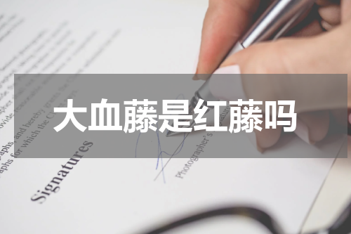 大血藤是红藤吗
