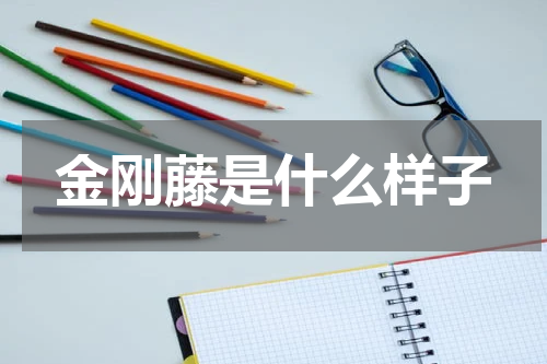 金刚藤是什么样子