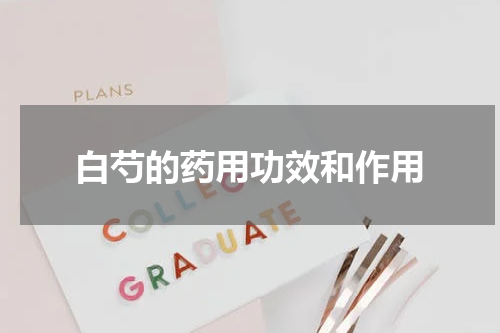 白芍的药用功效和作用