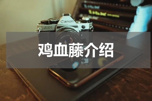 鸡血藤介绍