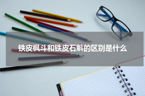 铁皮枫斗和铁皮石斛的区别是什么