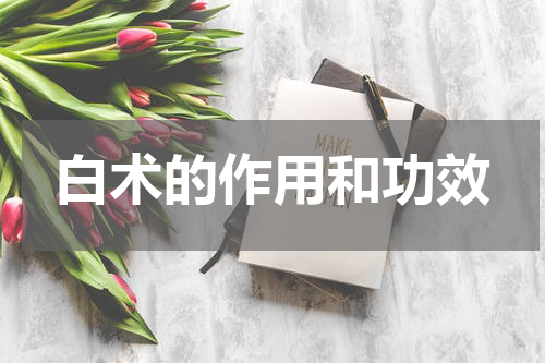 白术的作用和功效