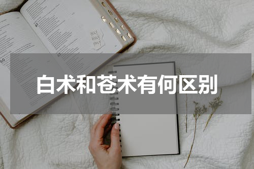 白术和苍术有何区别