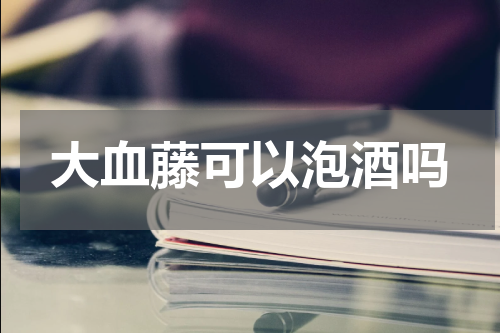 大血藤可以泡酒吗