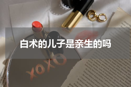 白术的儿子是亲生的吗