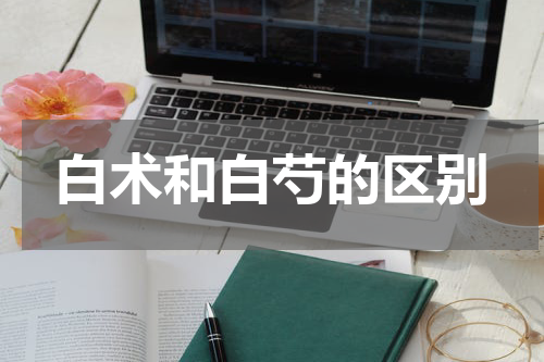 白术和白芍的区别