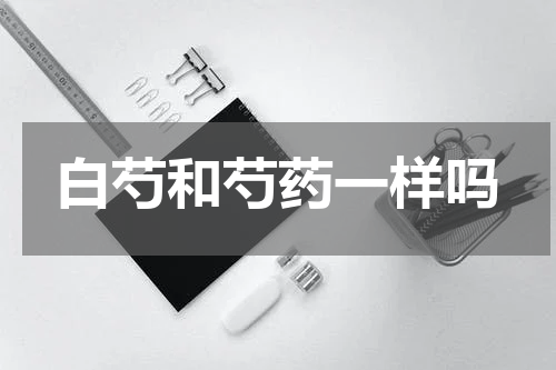 白芍和芍药一样吗