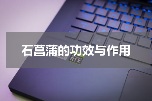 石菖蒲的功效与作用