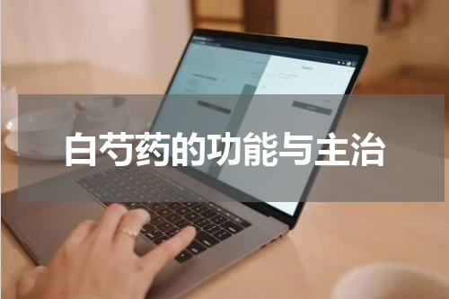 白芍药的功能与主治