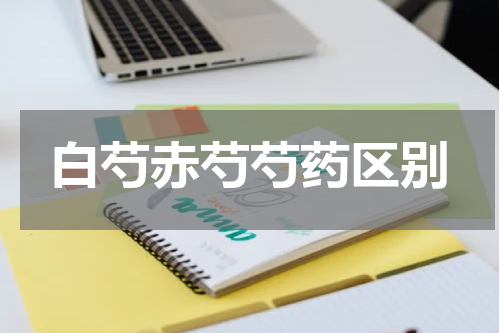 白芍赤芍芍药区别