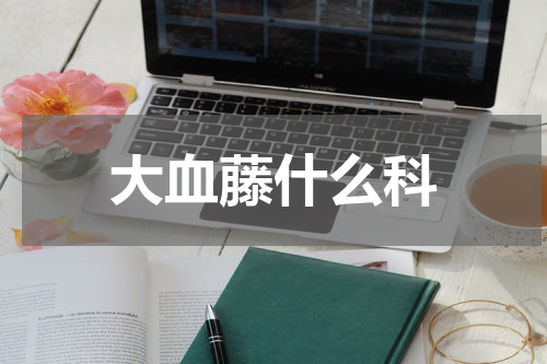 大血藤什么科