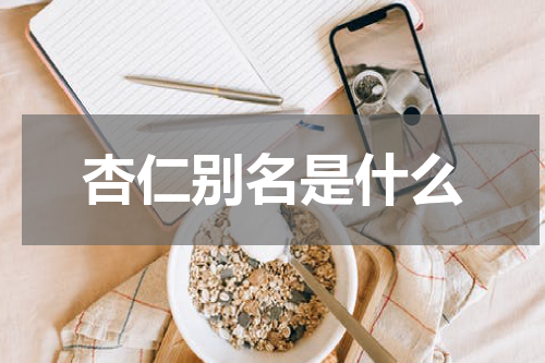 杏仁别名是什么