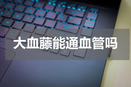 大血藤能通血管吗