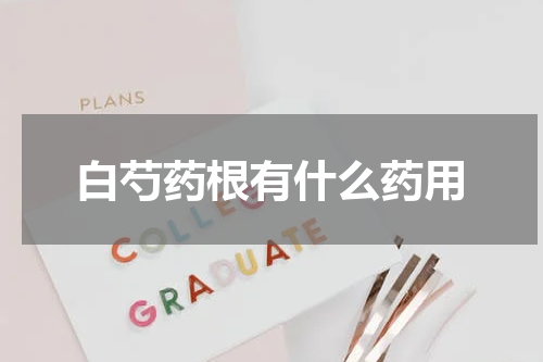 白芍药根有什么药用