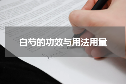 白芍的功效与用法用量