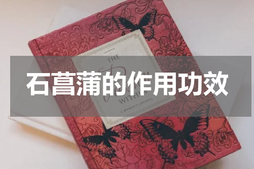 石菖蒲的作用功效