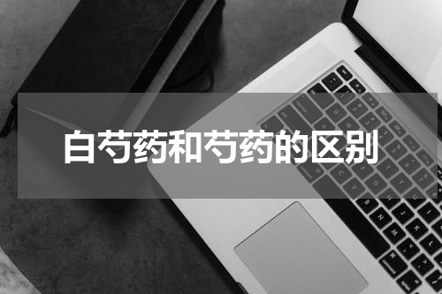 白芍药和芍药的区别