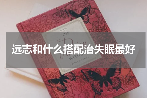 远志和什么搭配治失眠最好