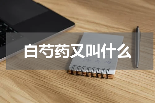 白芍药又叫什么