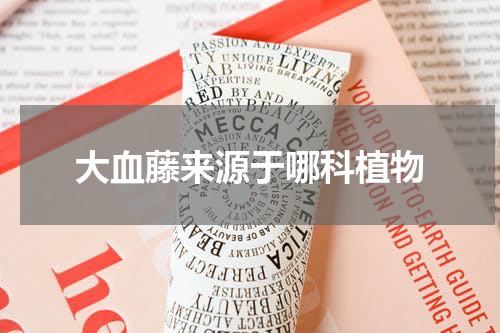 大血藤来源于哪科植物