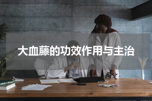 大血藤的功效作用与主治