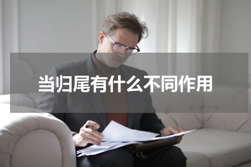 当归尾有什么不同作用