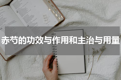 赤芍的功效与作用和主治与用量