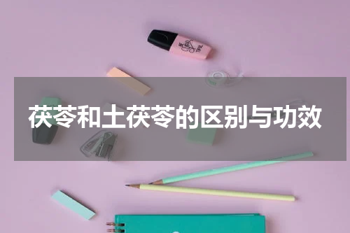 茯苓和土茯苓的区别与功效