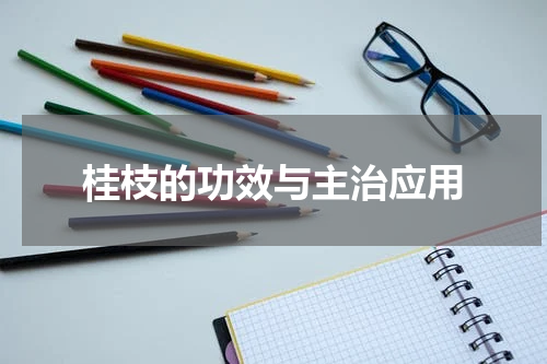 桂枝的功效与主治应用