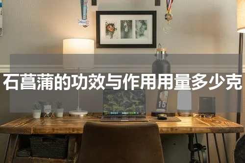 石菖蒲的功效与作用用量多少克