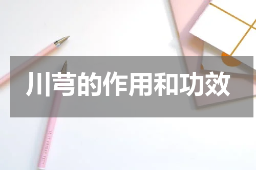 川芎的作用和功效