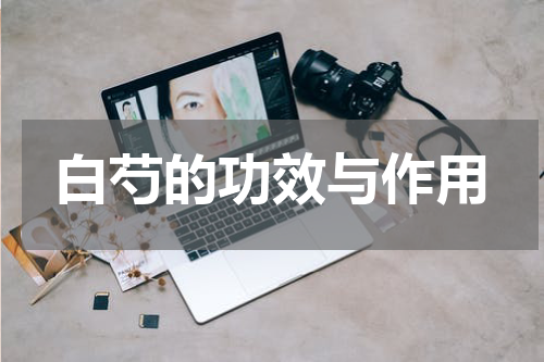 白芍的功效与作用