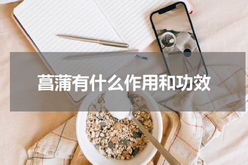 菖蒲有什么作用和功效