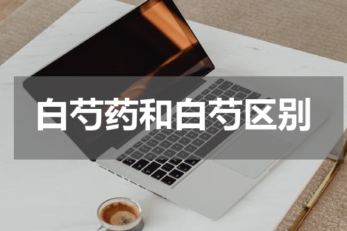 白芍药和白芍区别