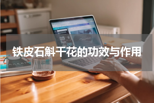 铁皮石斛干花的功效与作用
