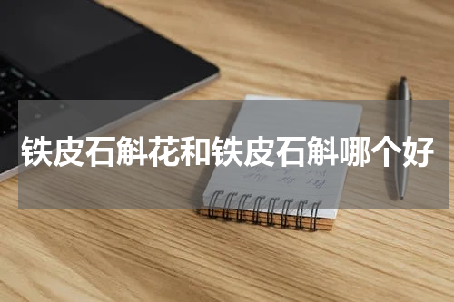 铁皮石斛花和铁皮石斛哪个好