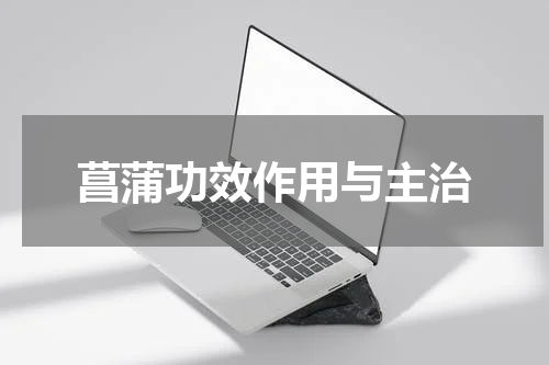 菖蒲功效作用与主治