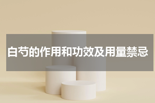 白芍的作用和功效及用量禁忌
