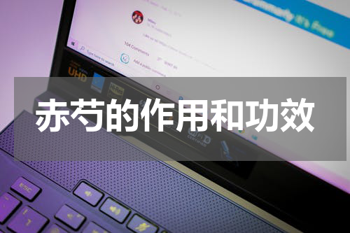 赤芍的作用和功效