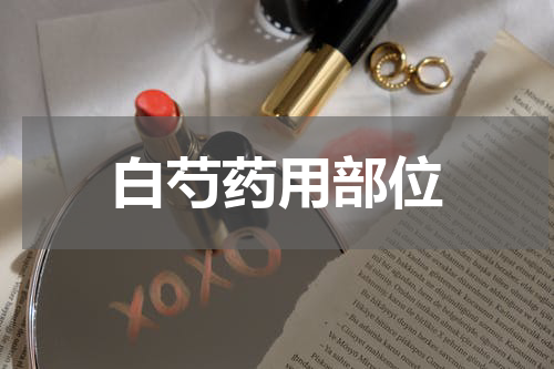 白芍药用部位