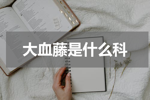 大血藤是什么科