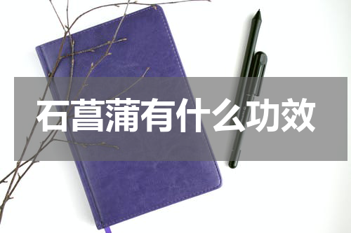 石菖蒲有什么功效