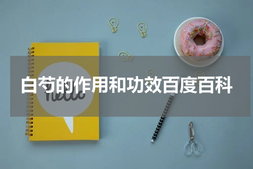 白芍的作用和功效百度百科