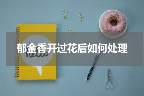 郁金香开过花后如何处理