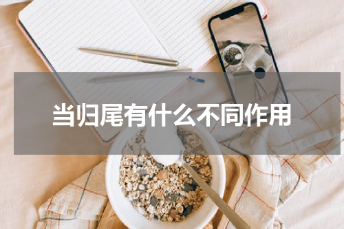 当归尾有什么不同作用