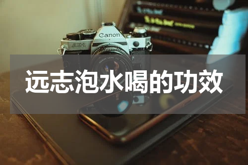 远志泡水喝的功效