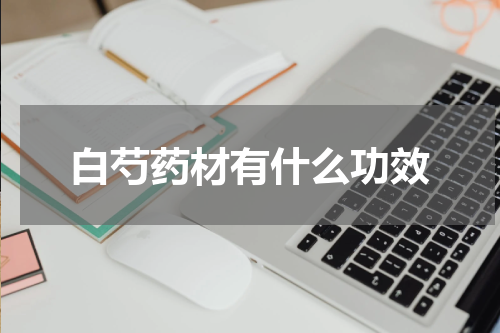 白芍药材有什么功效